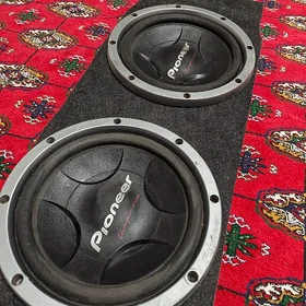 Pioneer bocka