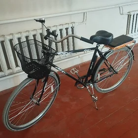 Tigir 28 lik Aist Sport Create