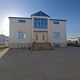 Gami Kotej gos 8sotuk