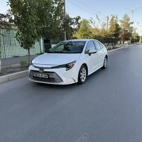 Toyota Corolla 2024