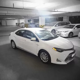 Toyota Corolla 2019