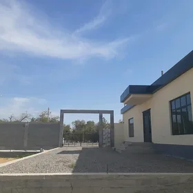 Buzmeyin 40 ýyllyk, plan