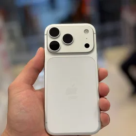 17 pro