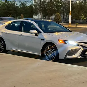 Toyota Camry 2024