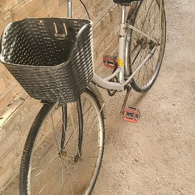 27 welik tigir welsopet kama