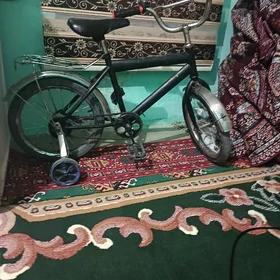 çağa tigir