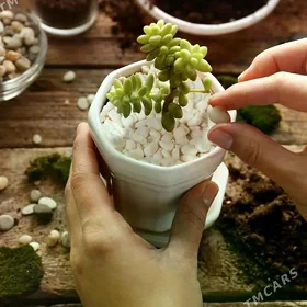 Натуральные камни для декора