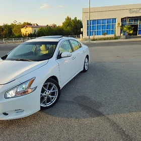 Nissan Maxima 2010