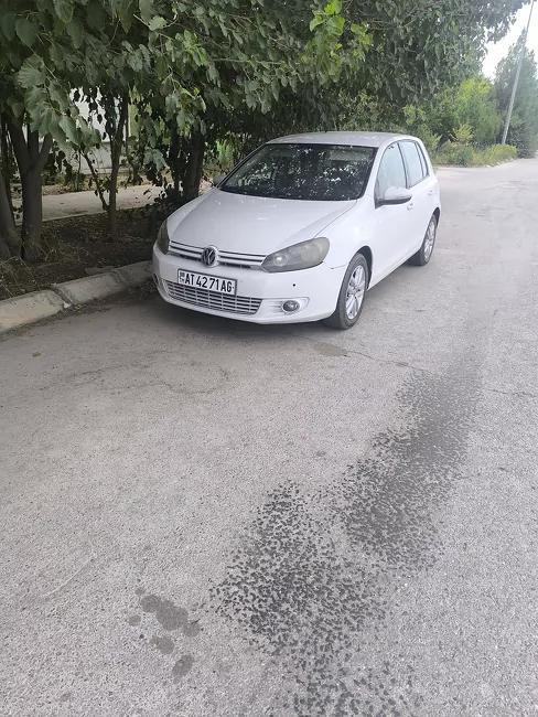 Volkswagen Golf 2010 - 1