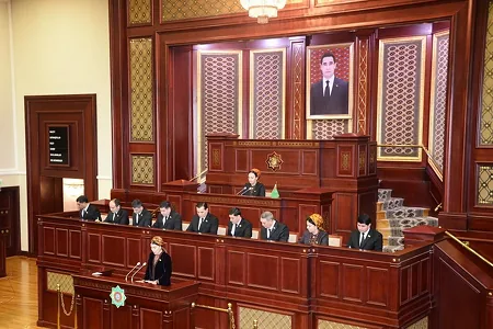 Спикер Меджлиса отчиталась о принятых в этом году законах