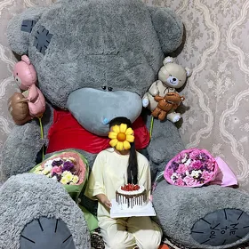 teddy miska