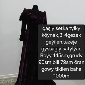 gaşly setka tylky