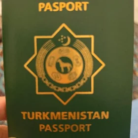 Pasport Yitdi