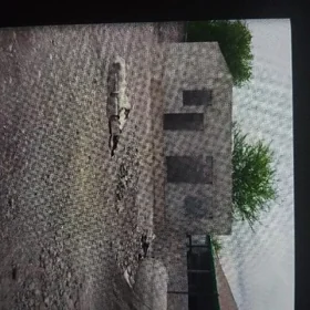 satlyk yer