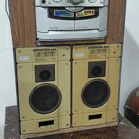 LG 3000W