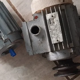 Divizok generator