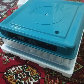 inkubator