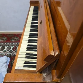 pianina