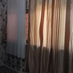 Arenda 30 mikr oglanlara