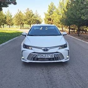 Toyota Corolla 2021