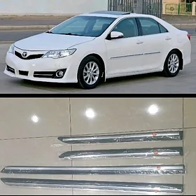 Palta Camry Molding
