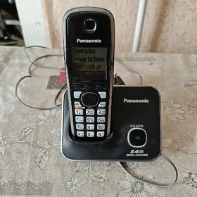 Panasonic