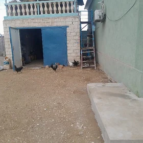 Horaz
