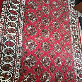 haly daroshka