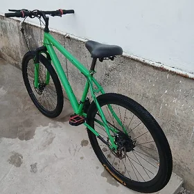 Turkmenistan tigir