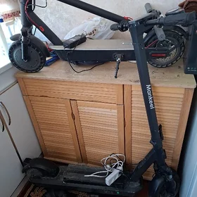 skooter