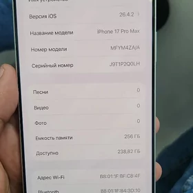 17 pro 96 silver