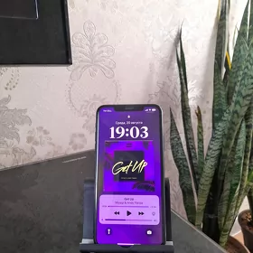 iPhone 11 Pro Max LL/A