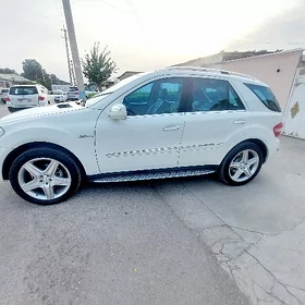 Mercedes-Benz ML350 2009