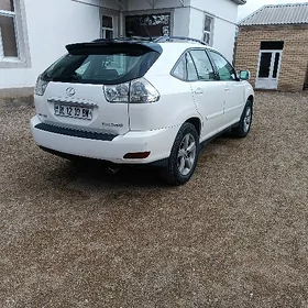 Lexus RX 330 2004