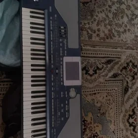 korg pa 800