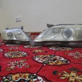 Okuz kelle Fara Çyra