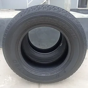 Dunlop teker