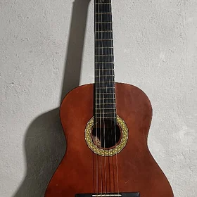 Gitara saz guraly