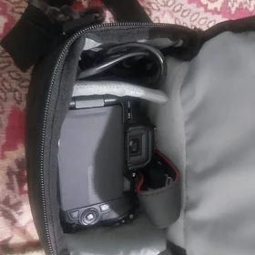 canon d 250