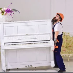 mebel göçürmek
