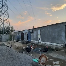 ТАЛХАН 4КОМ 6СОТОК Срочно