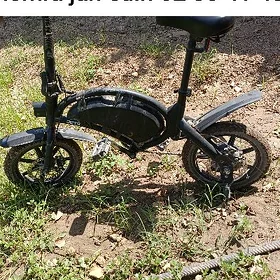 Tokly tigir