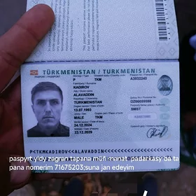 zagran pasaport yitdy taksyda