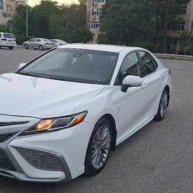 Toyota Camry 2021