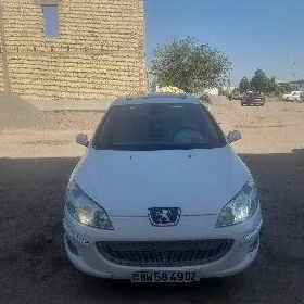 Peugeot 407 2004