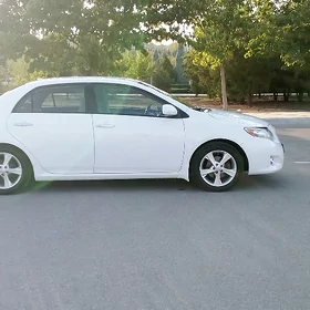 Toyota Corolla 2008