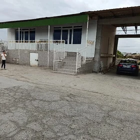 magazin  arenda