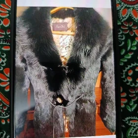 şuba