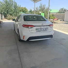 Toyota Corolla 2019