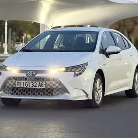 Toyota Corolla 2022